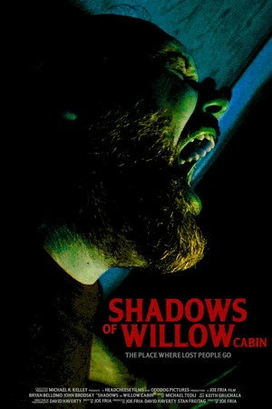 Shadows of Willow Cabin 2025 Hindi Dual Audio WEBRip 720p - 480p - 1080p